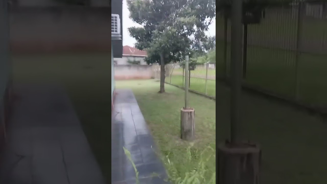 quintal ok ❣️casa tudo ok limpo cheiroso e organizado