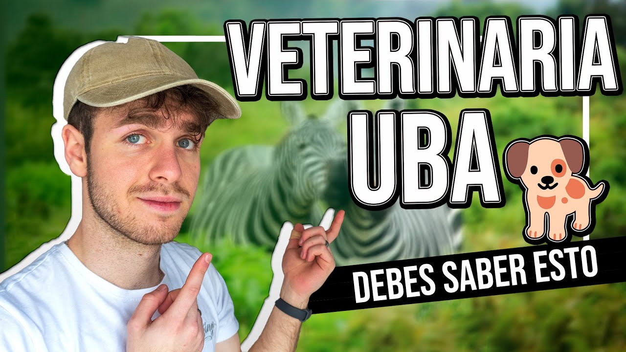 Estudiar VETERINARIA en la UBA ¿Cómo es? Todo lo que tenes que saber 📚