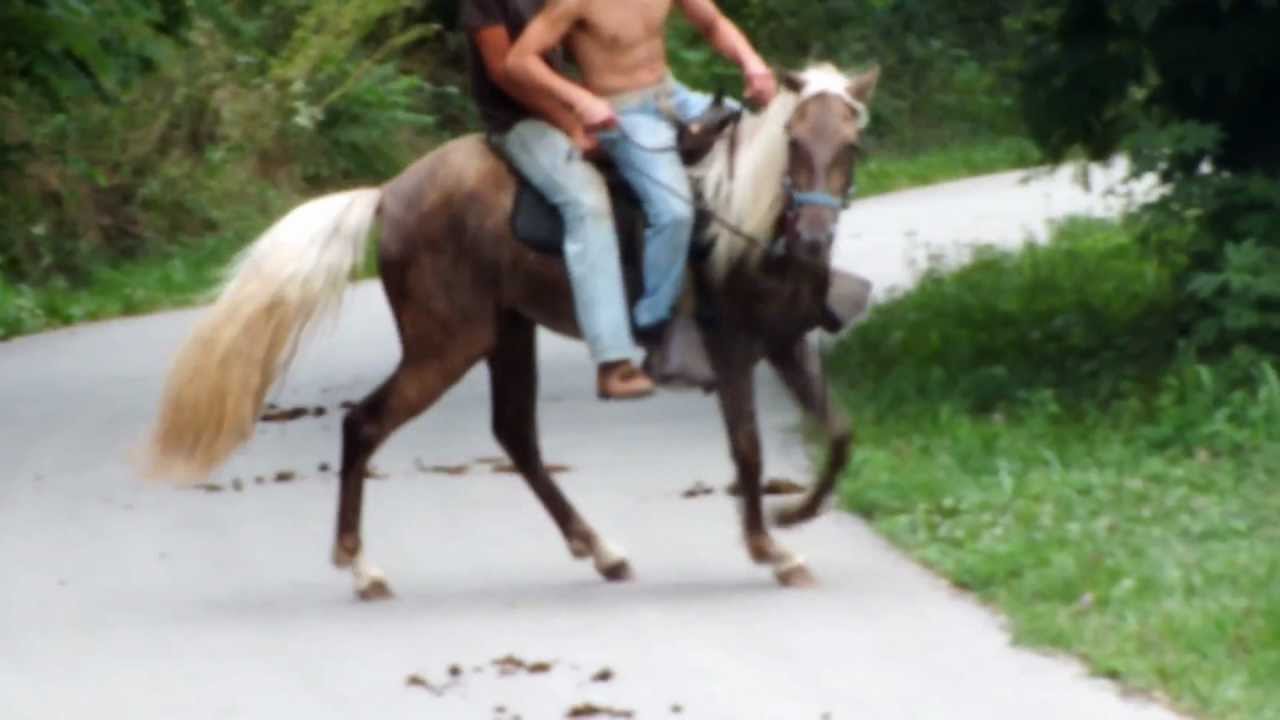 DSCF2261.MOV 