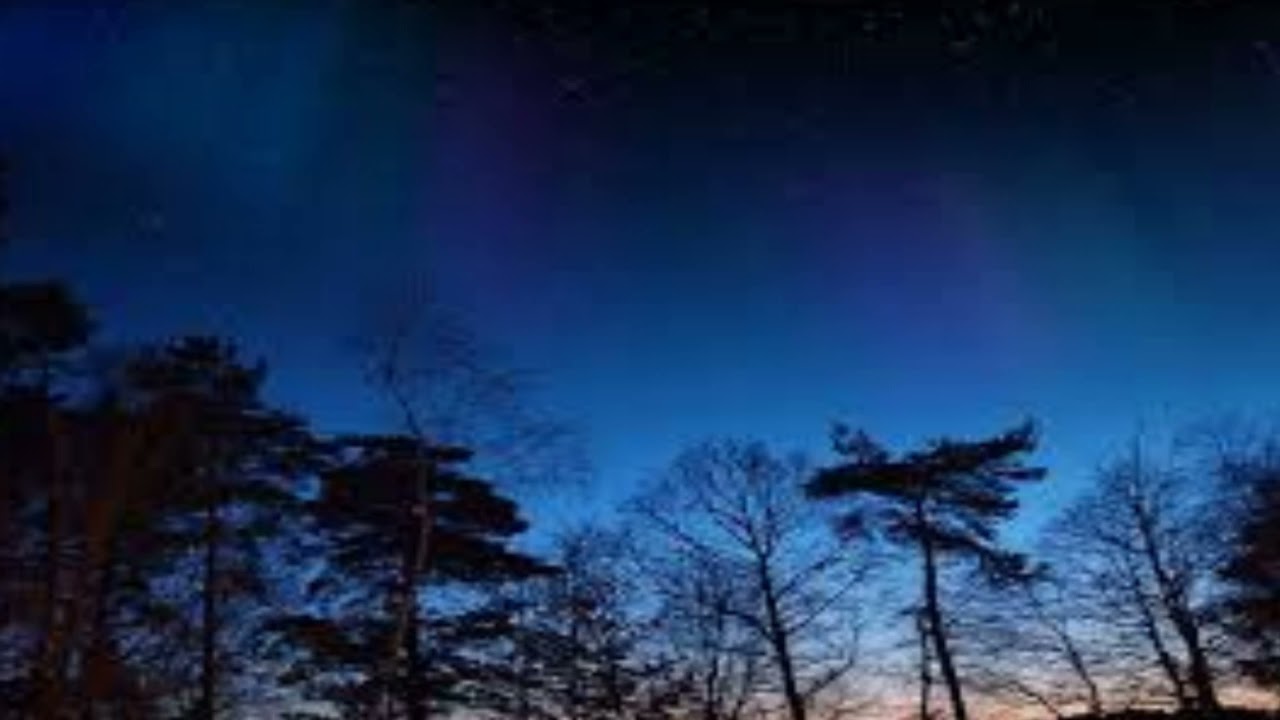 Night ambient and Cricket sound (sound effects no copyright )