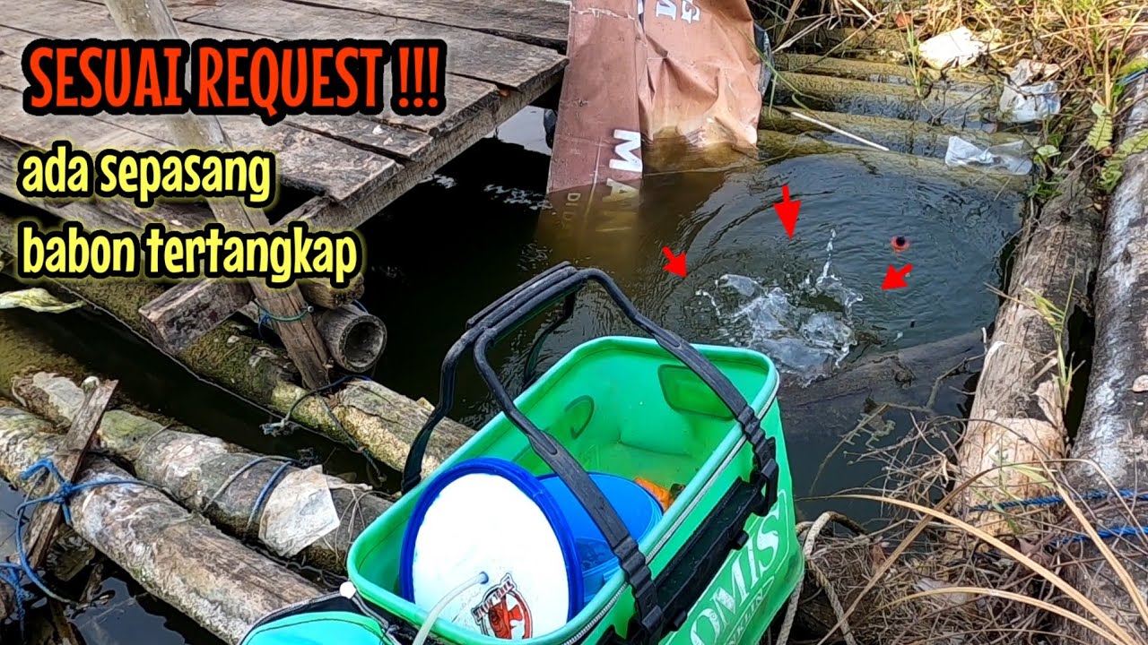 GAK RUGI KELILING SEHARIAN‼️KETEMU JUGA SPOT YANG KATANYA BANYAK IKANYA || mancing ikan NAHOL MANIA