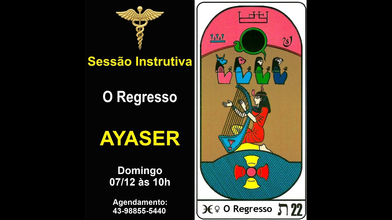AYAHUASCA - Sessão Instrutiva 104 - O Regresso