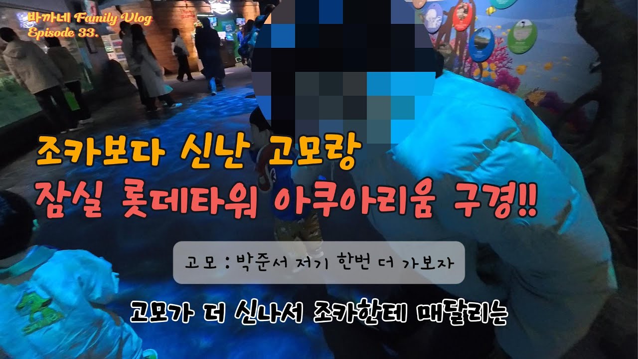 엄마 조리원 간 사이, 아빠와 아들의 서울 아쿠아리움 여행
