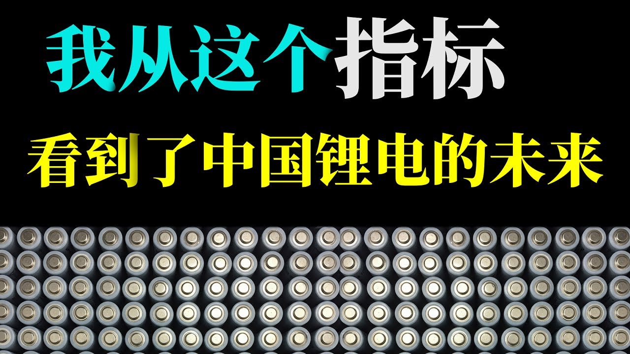 从中国锂电大家族的半年报看它们的结局：比亚迪，吉利，理想，宁德时代，国轩高科，赣锋锂业，盛新锂能...