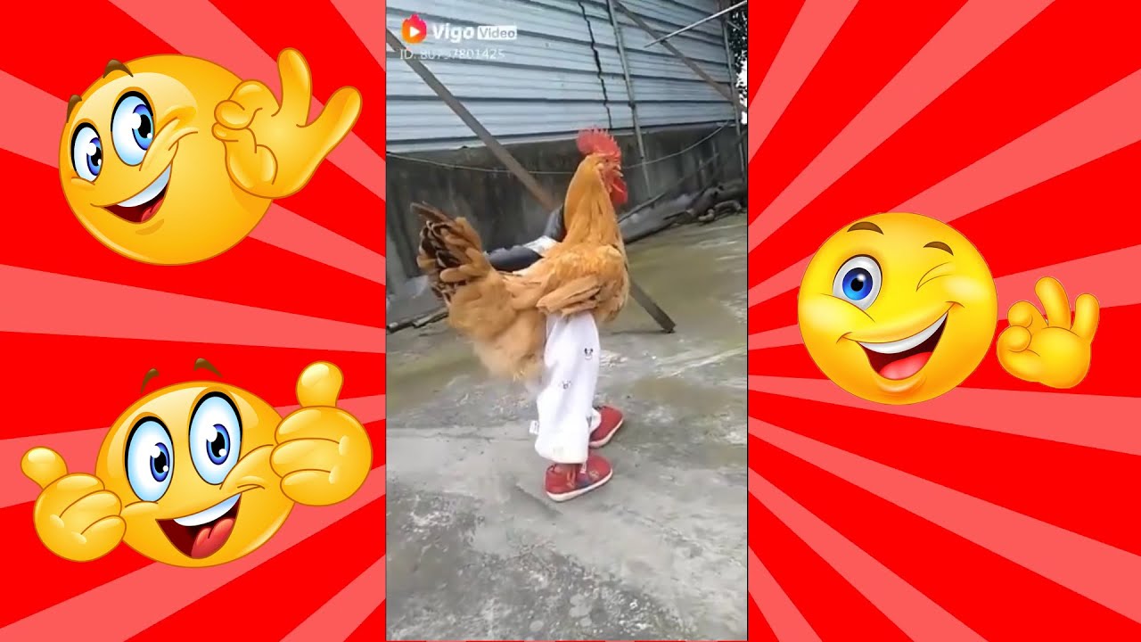 TRY NOT TO LAUGH | Funny Video 2019 | Compilations