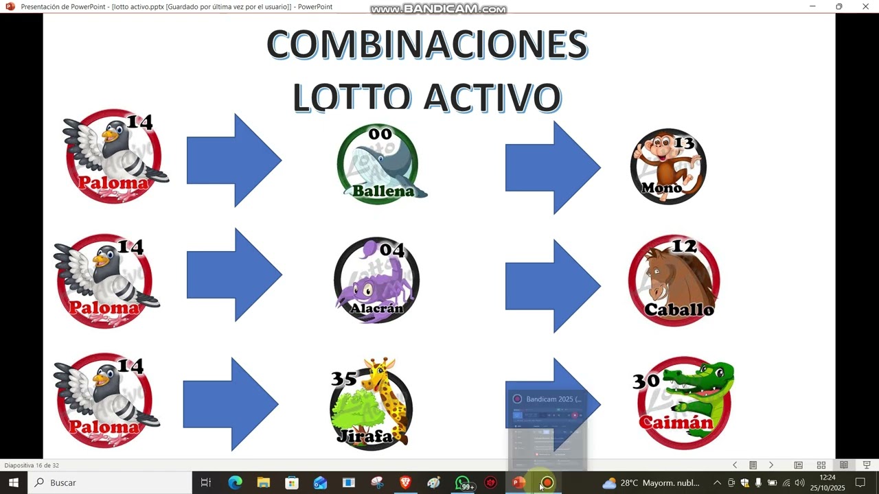 &iexcl;Descubre las mejores combinaciones para ganar en Lotto Activo!