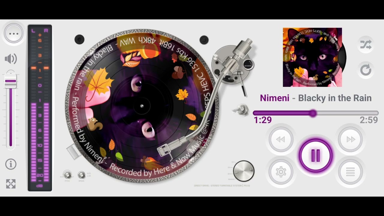 Blacky in the Rain, Leo's cut - guitar 432Hz Cat