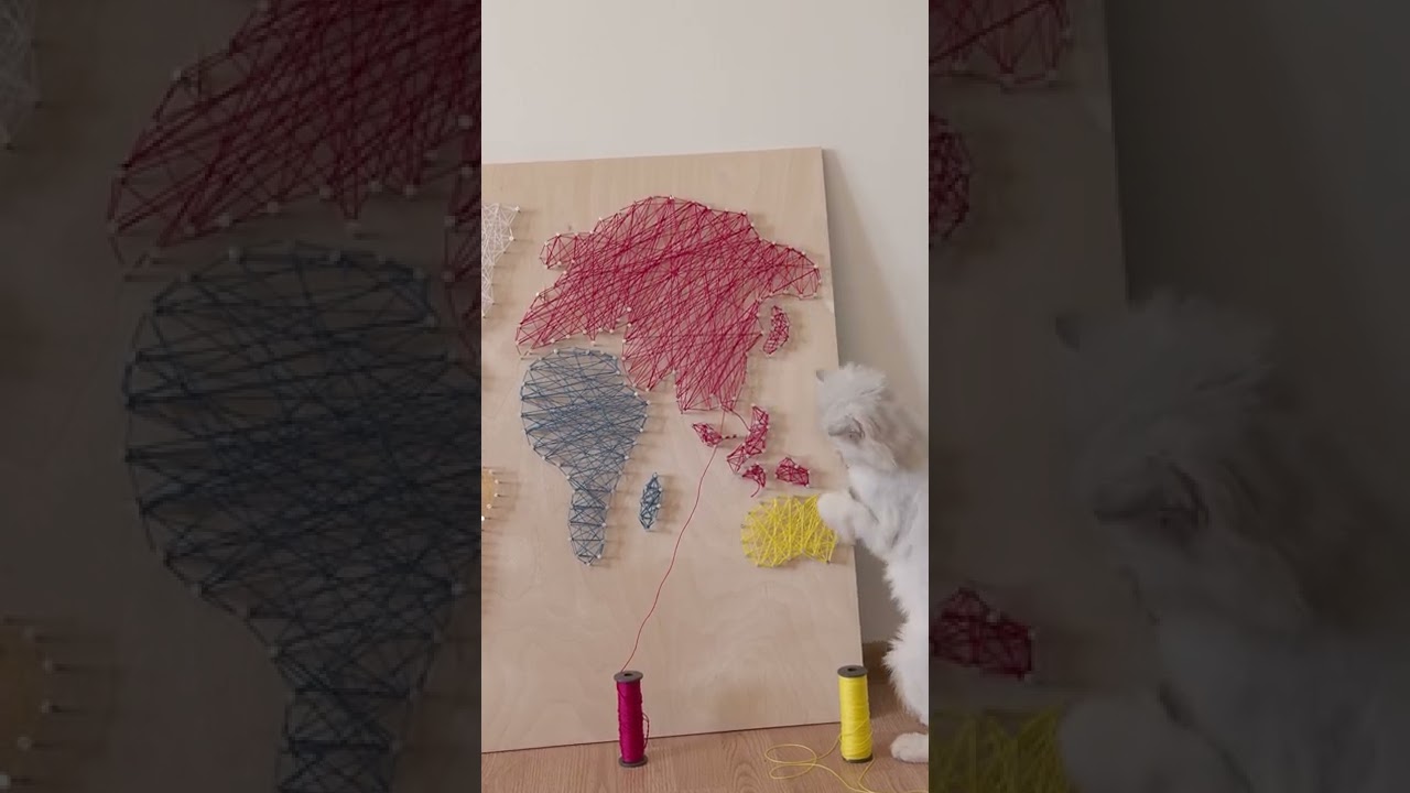 Woow #shorts #viralvideo #animalslover