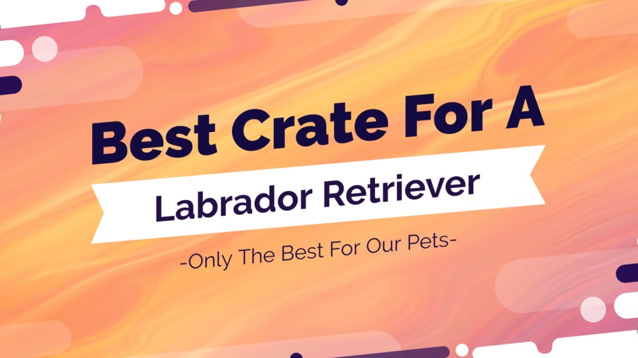Best Dog Crate for Labrador Retrievers