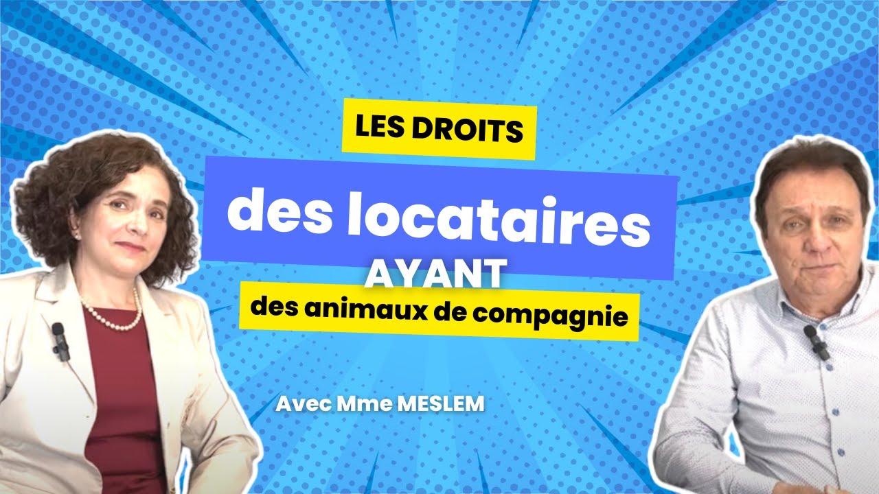 Les animaux de compagnie