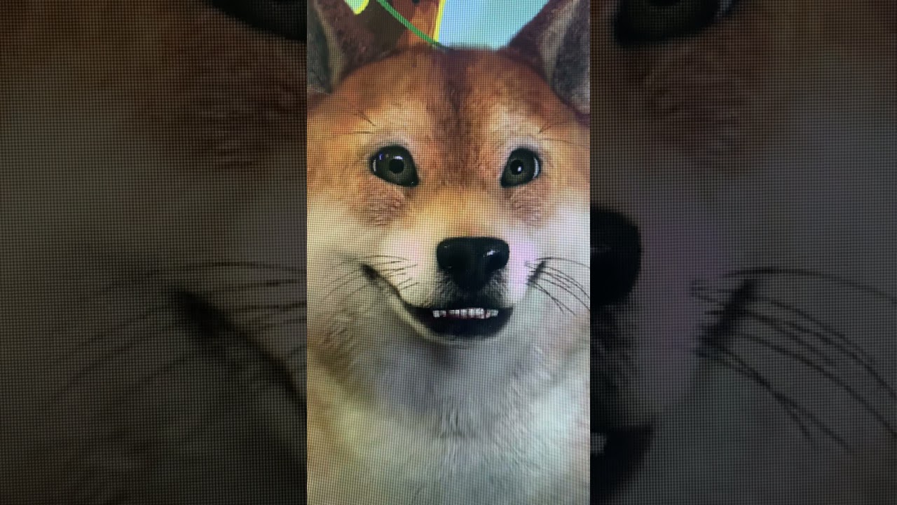 だしゃ そうしゃ しょうしゃ そうしゃいっそう