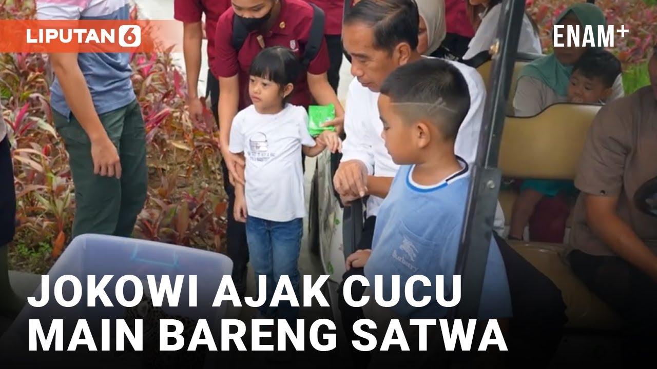 Presiden Jokowi Ajak Cucu Mengenal dan Bermain dengan Satwa di Deli Serdang | Liputan6