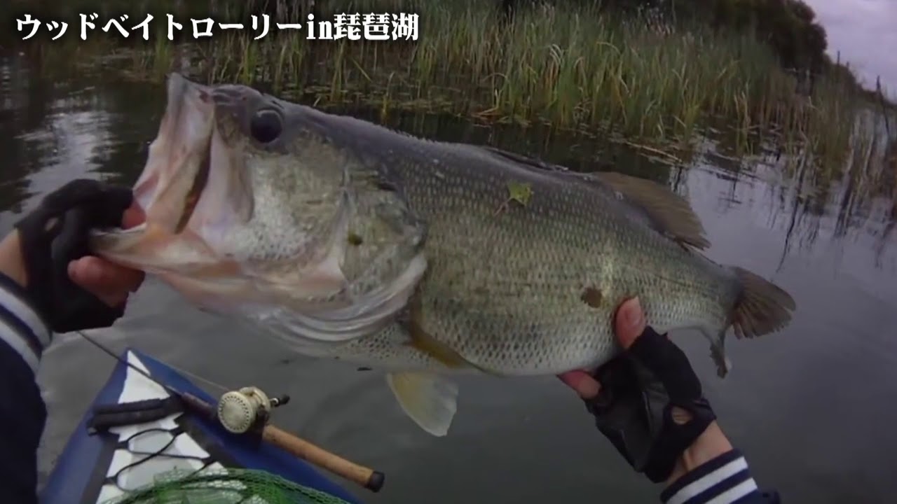 ジョイプラグ/ウッドベイトローリーin琵琶湖