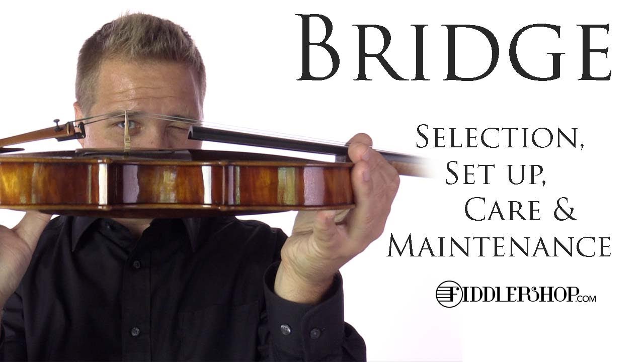 Bridge - Selection, Set up, Care & Maintenance