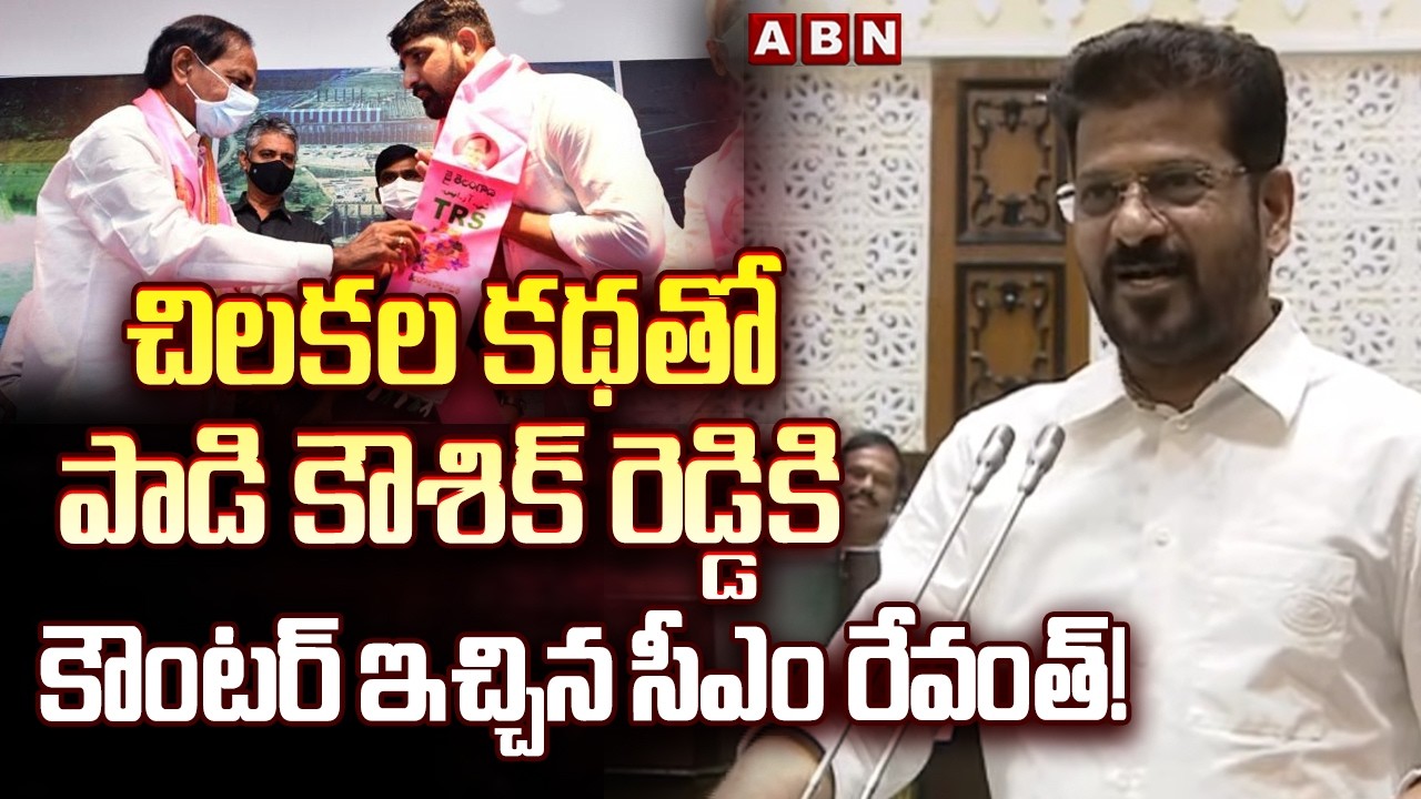 చిలకల కథతో పాడి కౌశిక్ రెడ్డికి కౌంటర్ ఇచ్చిన సీఎం రేవంత్! | Cm Revanth Counter to MLA Padi Kaushik