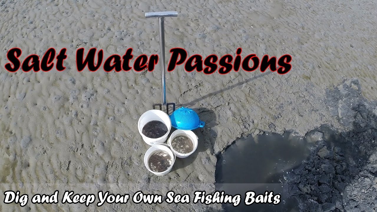 Digging Sea Fishing Baits - Zelf Zeepieren, Zagers en Witjes Steken Zeevissen - Salt Water Passions!