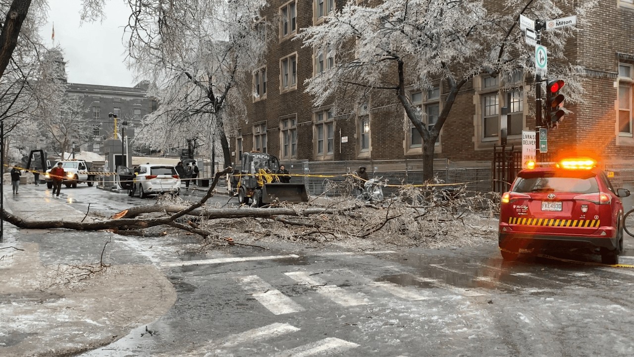 🚨 В Квебеке ожидается ледяной шторм: 30 мм ледяного дождя и 20 см снега могут парализовать работу...