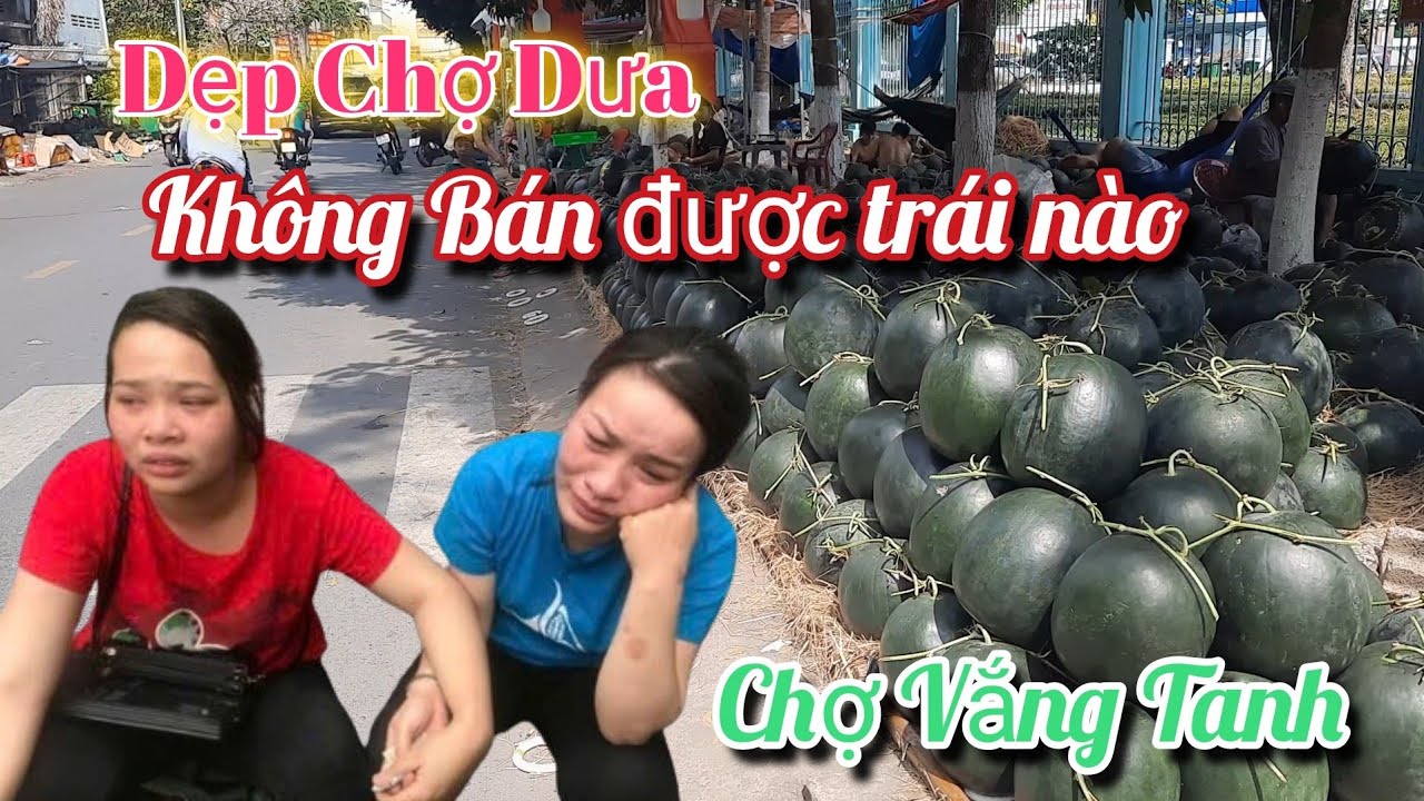 DẸP CHỢ DƯA HẤU TIỂU THƯƠNG KHÔNG BÁN ĐƯỢC QUẢ NÀO DÙ GIÁ DƯA TẾT 2026 RẤT RẺ CÓ BÁO GIÁ DƯA