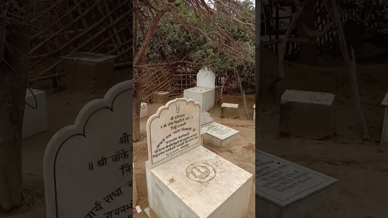 shri haridas samadhi | shri haridas #shorts #youtubeshorts #nidhiban #vrindaban #video