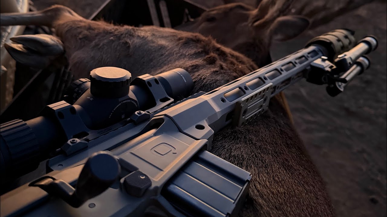 Meat for the Freezer!
