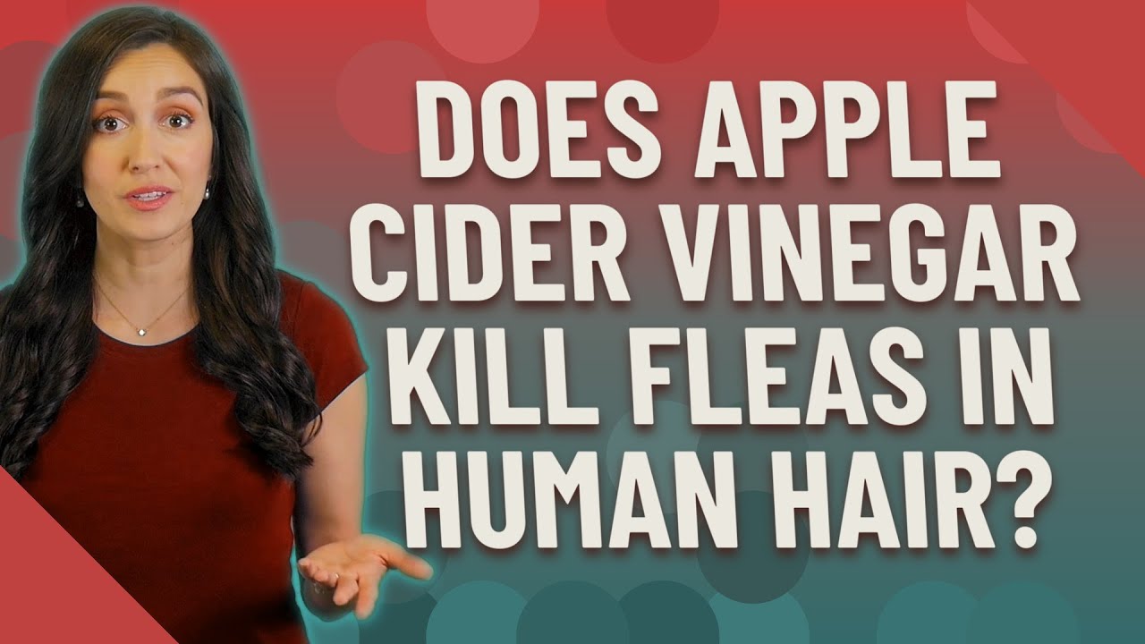 Does apple cider vinegar kill fleas in human hair?