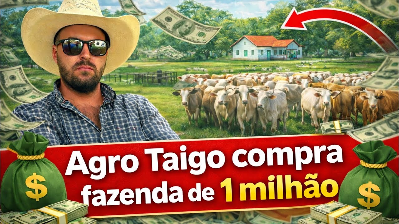 Agro Taigo compra fazenda de gado no valor de 1.000.000 à vista no Mato Grosso 🐄
