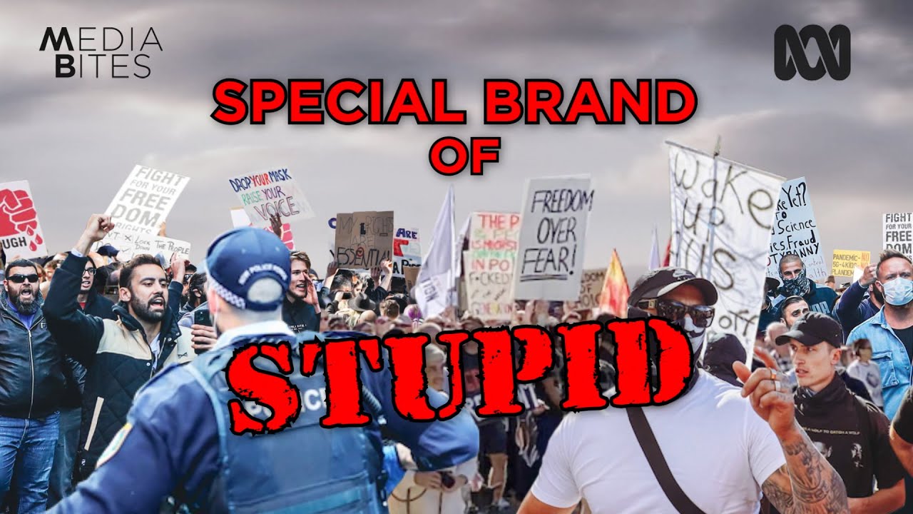 Special brand of stupid | Media Bites