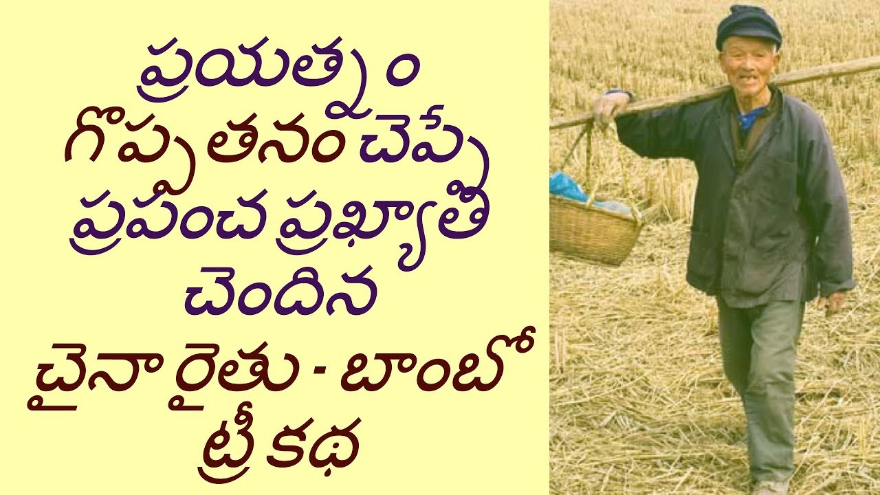 THE STORY OF THE CHINESE BAMBOO TREE & FARMER || AKELLA RAGHAVENDRA