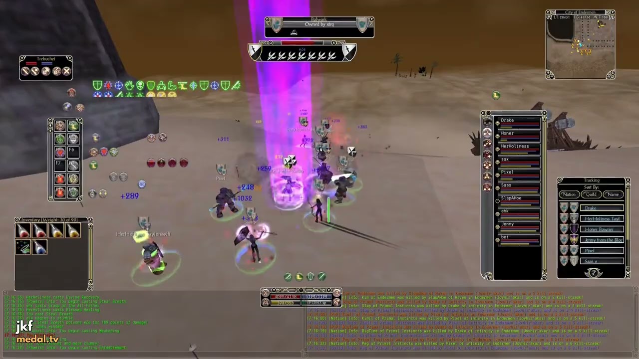 Shadowbane LB fights
