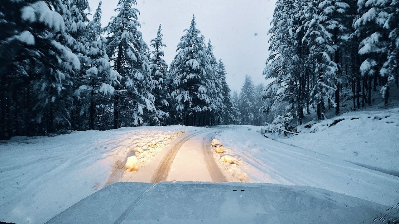 Steering on Snow - Shimla Hills