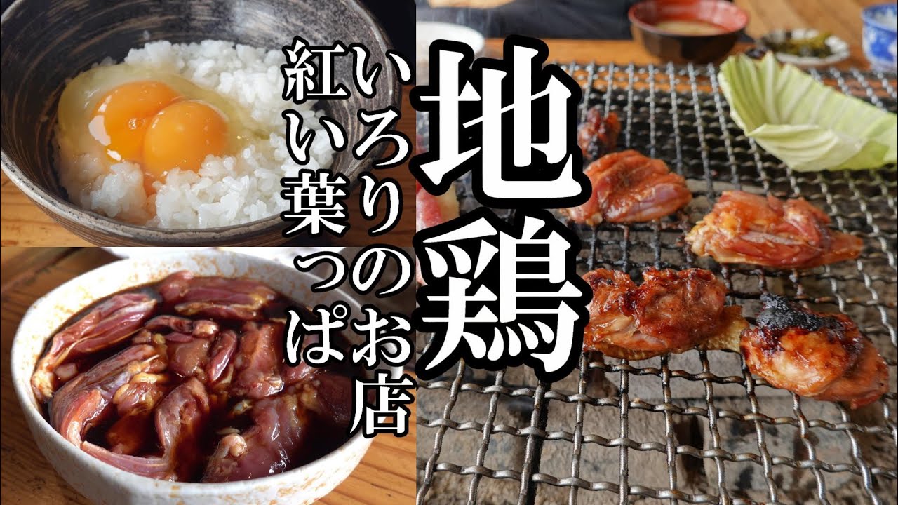 いろりのお店 紅い葉っぱ「熊本もみじ鶏と久留米さざなみ地鶏」GRILLED CHICKEN Japanese charcoal grill