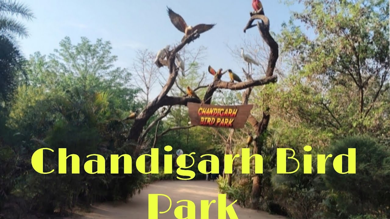 Part 2 Chandigarh Bird park ll Chandigarh Tourist place||