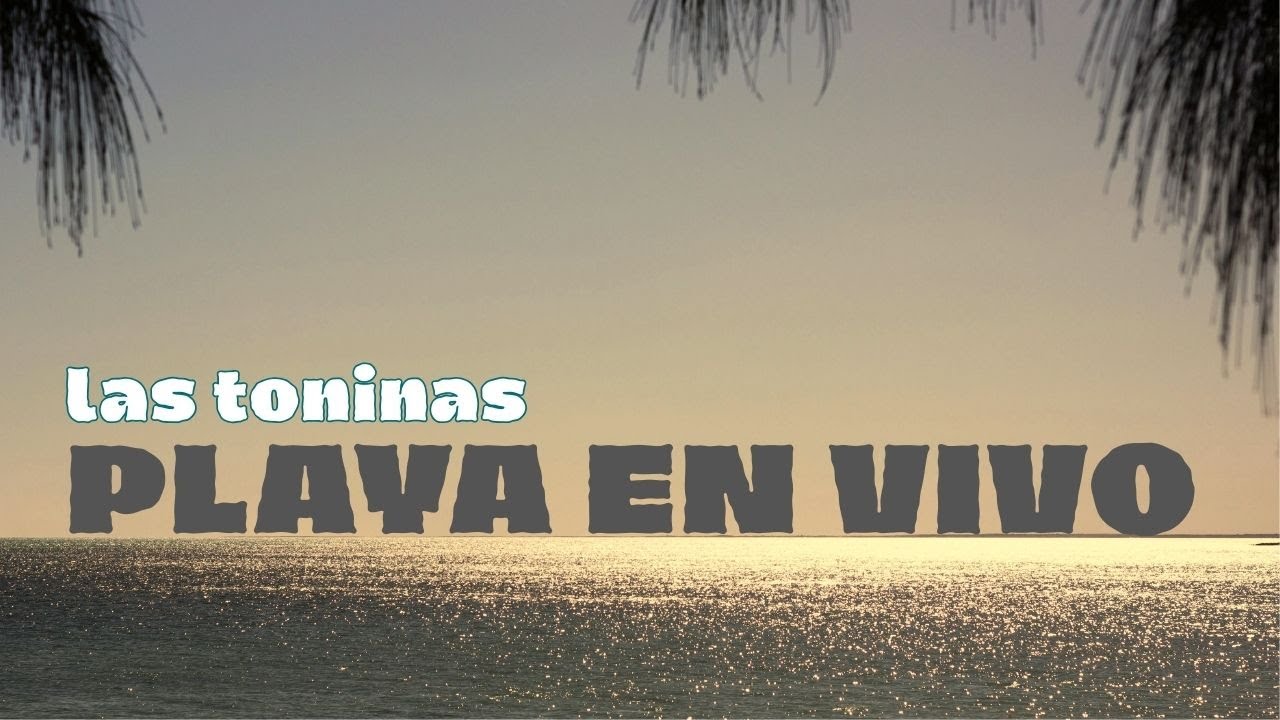 🔴en vivo Las Toninas 🔴[online] #argentina #lacosta  #megatube