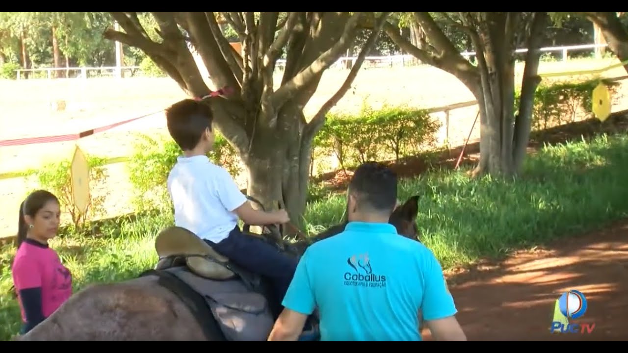 Saiba o que &eacute; ecoterapia!