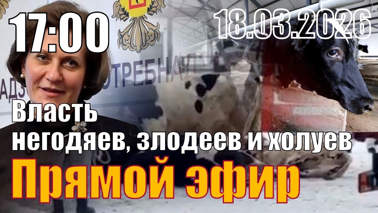 Власть негодяев, злодеев и холуев. Совместно со Сталинград ТВ