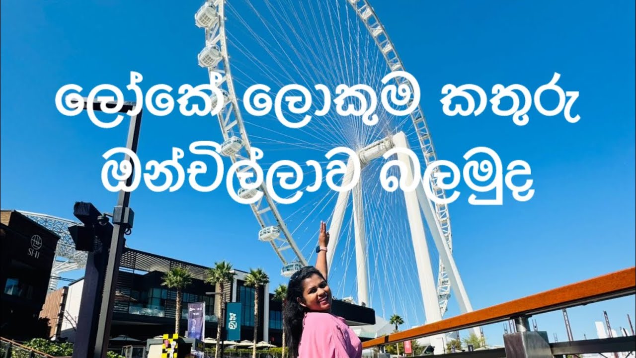 ලෝකේ ලොකුම කතුරු ඔන්චිල්ලාව බලන්න යමුද