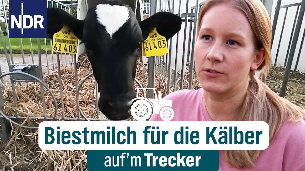 Wer nicht richtig satt ist, kann auch nicht richtig arbeiten | Auf'm Trecker Folge 42 | NDR