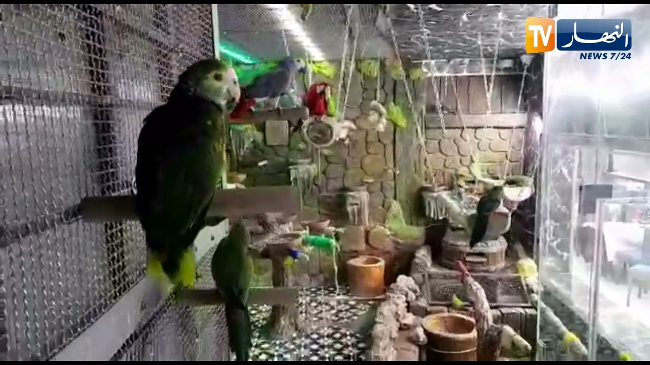 الشلف: جولة خاطفة من داخل مطعم 
