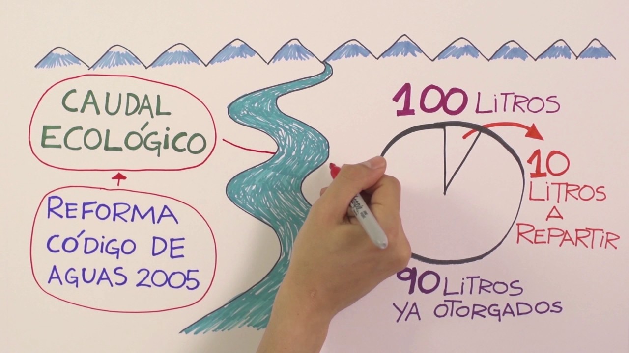 Caudal Ecol&oacute;gico m&iacute;nimo para la supervivencia de los ecosistemas