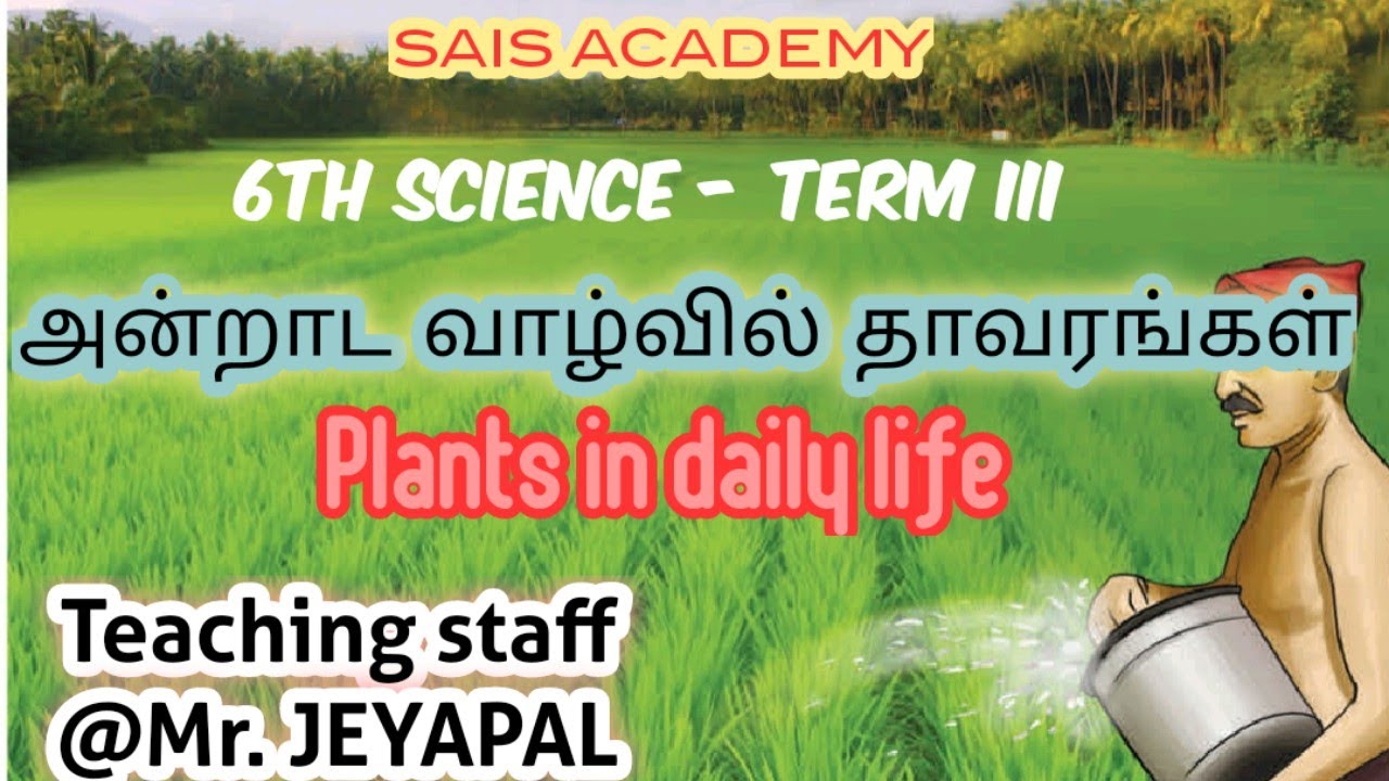 6th science 3rd term: Plants in daily life : Mr. Jeyapal @ sais academy