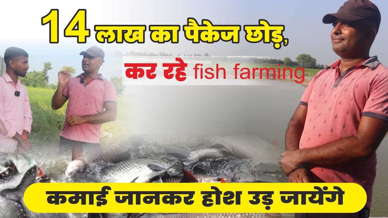 14 Lakh का Package छोड़ कर रहे Fish Farming, कमाई जानकर होश उड़ जायेंगे ? Fish Farming Full Details