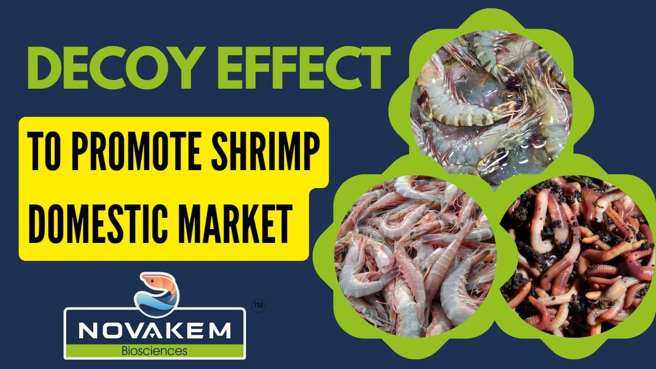 Application of Decoy effect to promote domestic market for shrimps