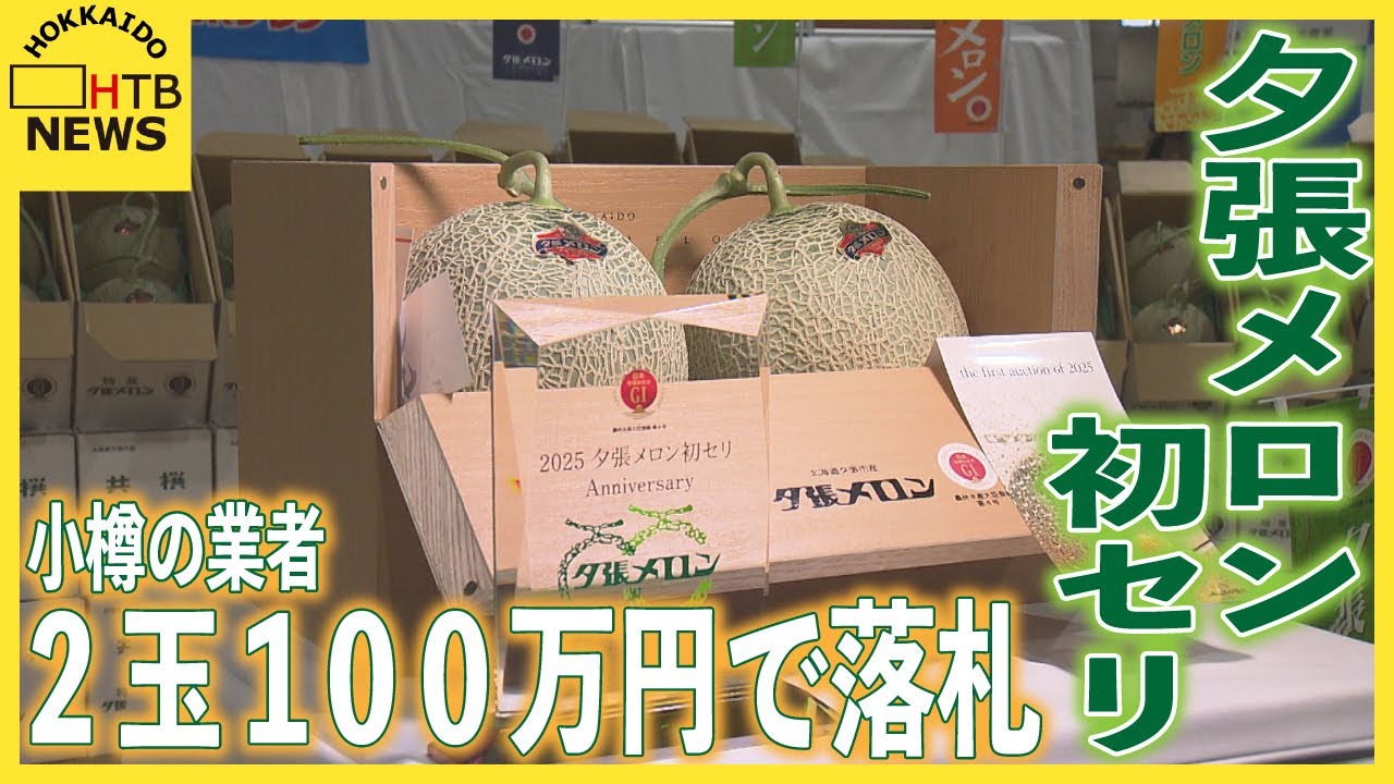 「怖ろしくて食べられない」夕張メロン初競り2玉100万円　小樽の業者が落札　販売は今週末～来週の熟した頃