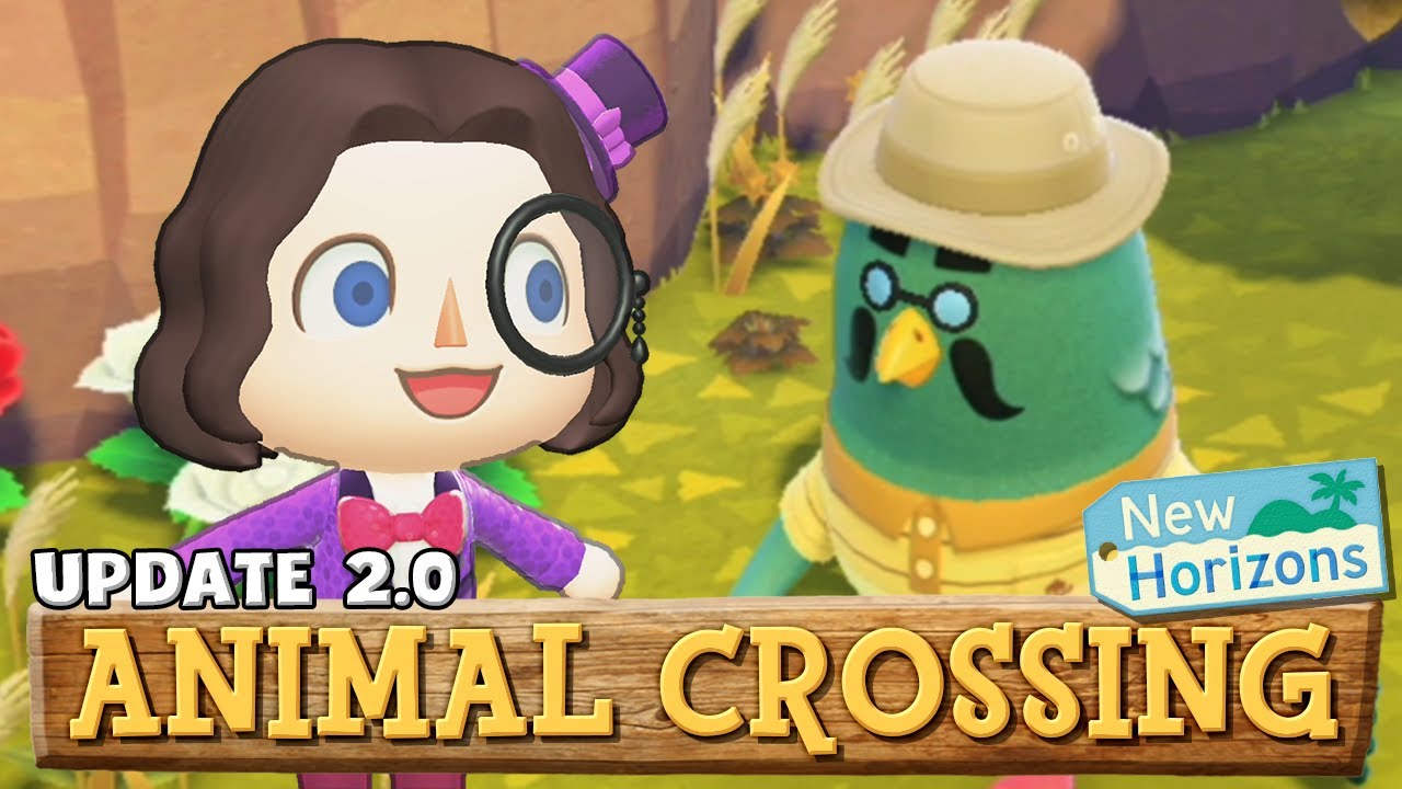 Kaffee-Taube Kofi! | Animal Crossing: New Horizons 2.0