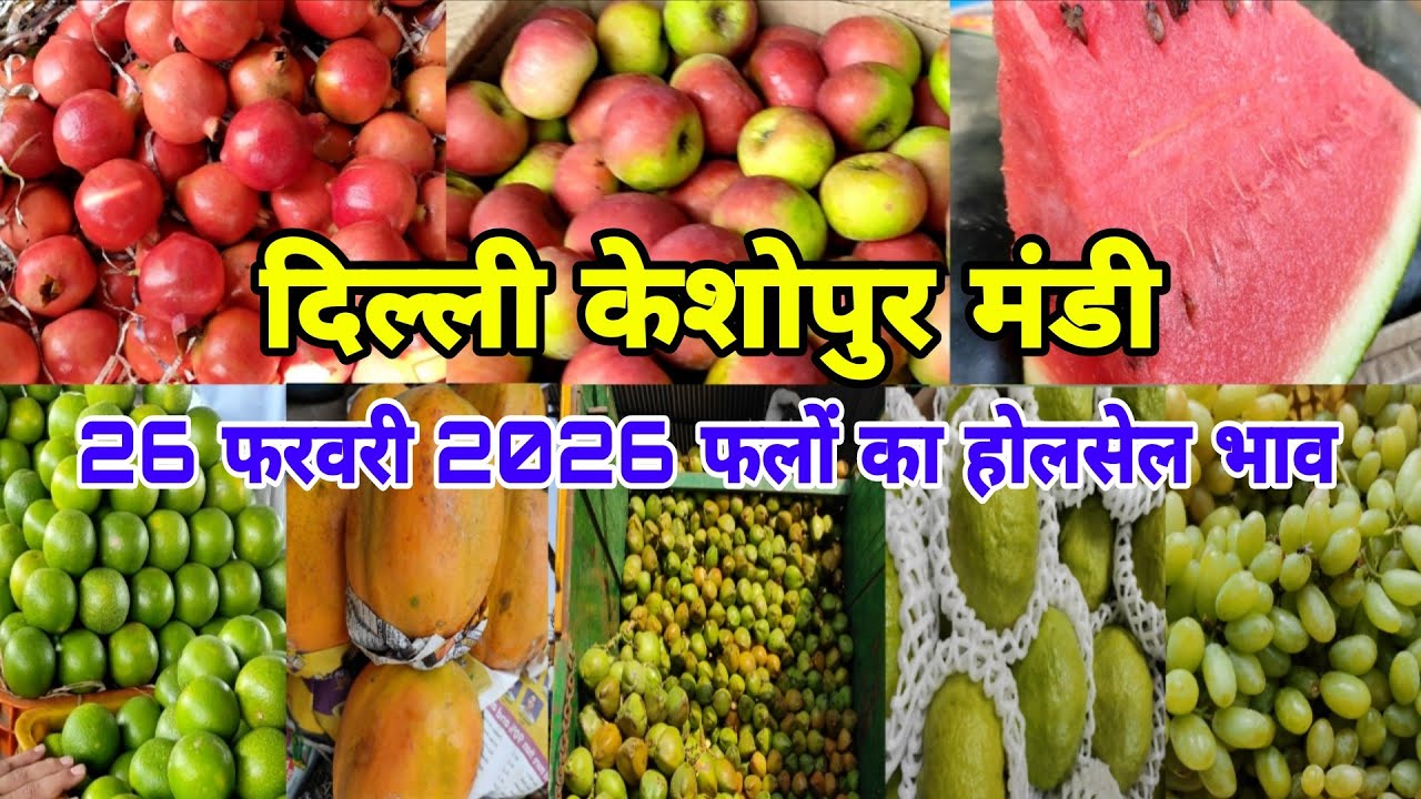 26 Feb 2026 फल का थोक भाव। Today fruits market price #keshopurmandi #fruit