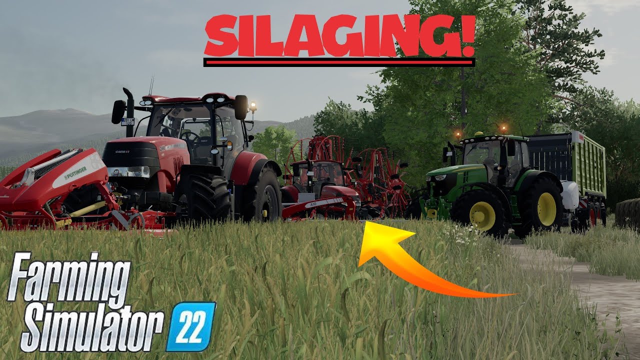 SILAGE ON MAYPOLE!