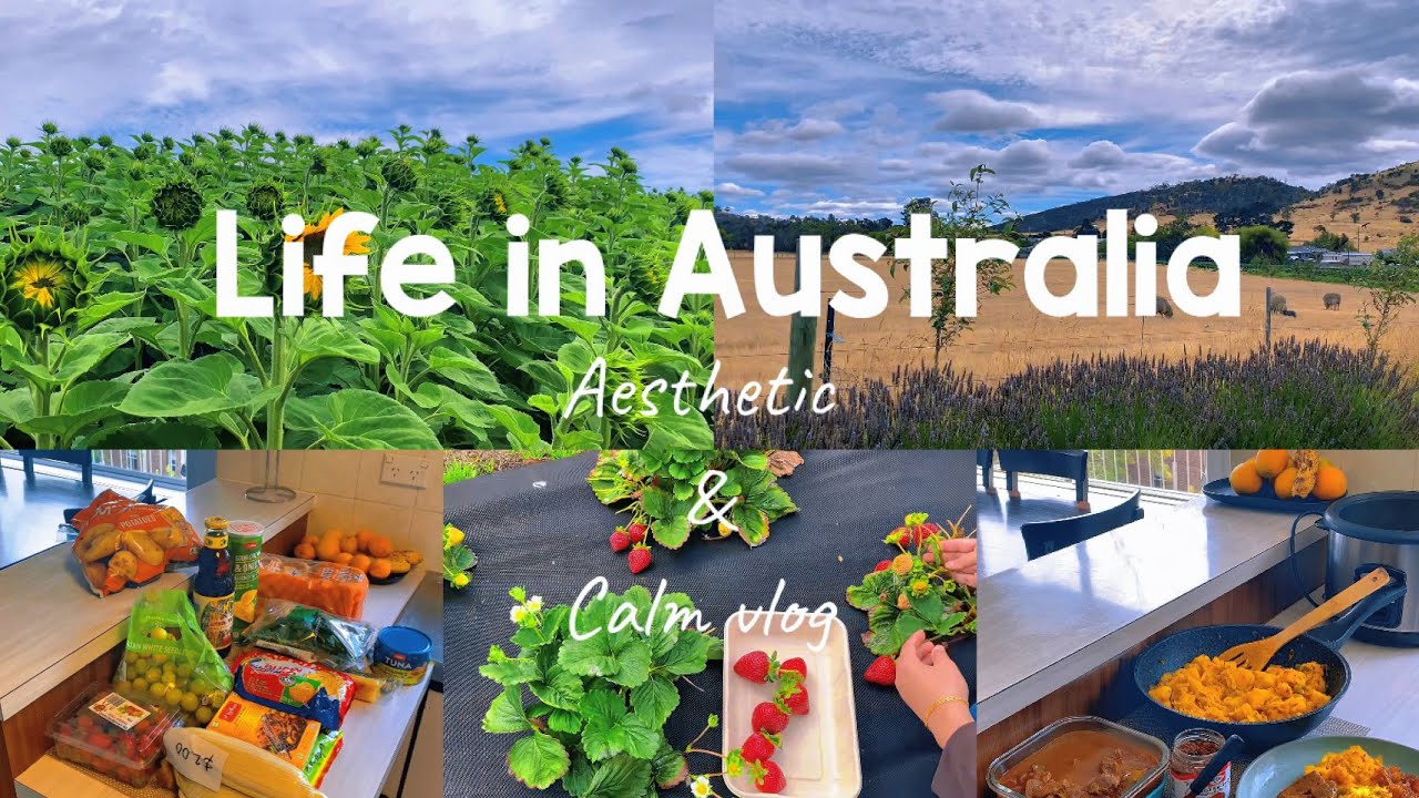 Slow living in the Australian countryside | Visit to Berry Farm | Alpaca farm stay | Peaceful vlog 