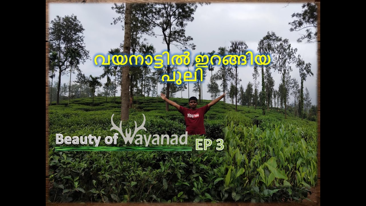 EP-3 വയനാട്,ഒരു വന്യ സൗന്ദര്യം,കുലുക്കി സർബത് ,ലക്കിടി  | Beauty of Wayanad | Kerala Tamilnadu Trip