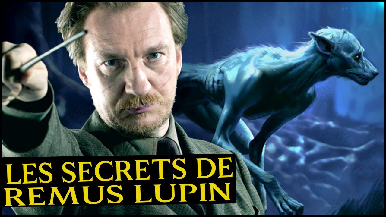 LA V&Eacute;RIT&Eacute; SUR REMUS LUPIN DANS HARRY POTTER