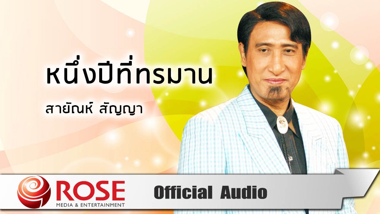 หนึ่งปีที่ทรมาน - สายัณห์ สัญญา (Official Audio)